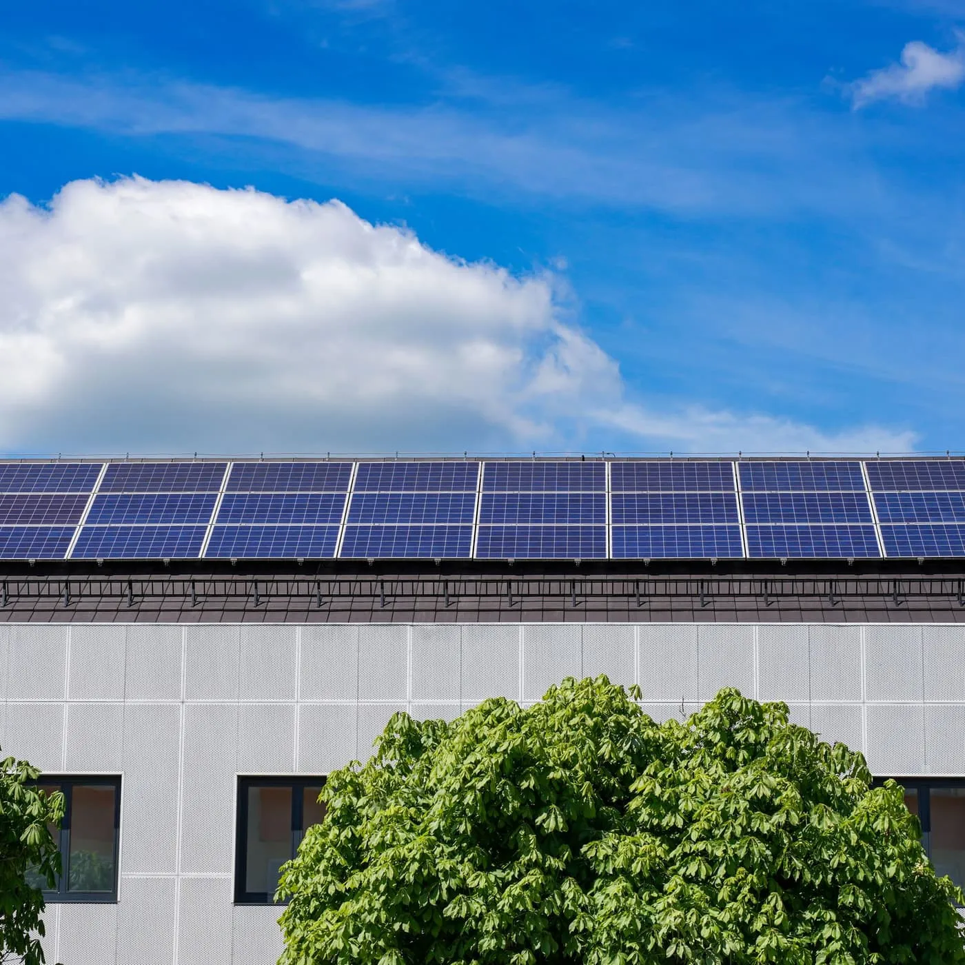 Solar panels along the roof of a white building, green trees in front and a blue sky above