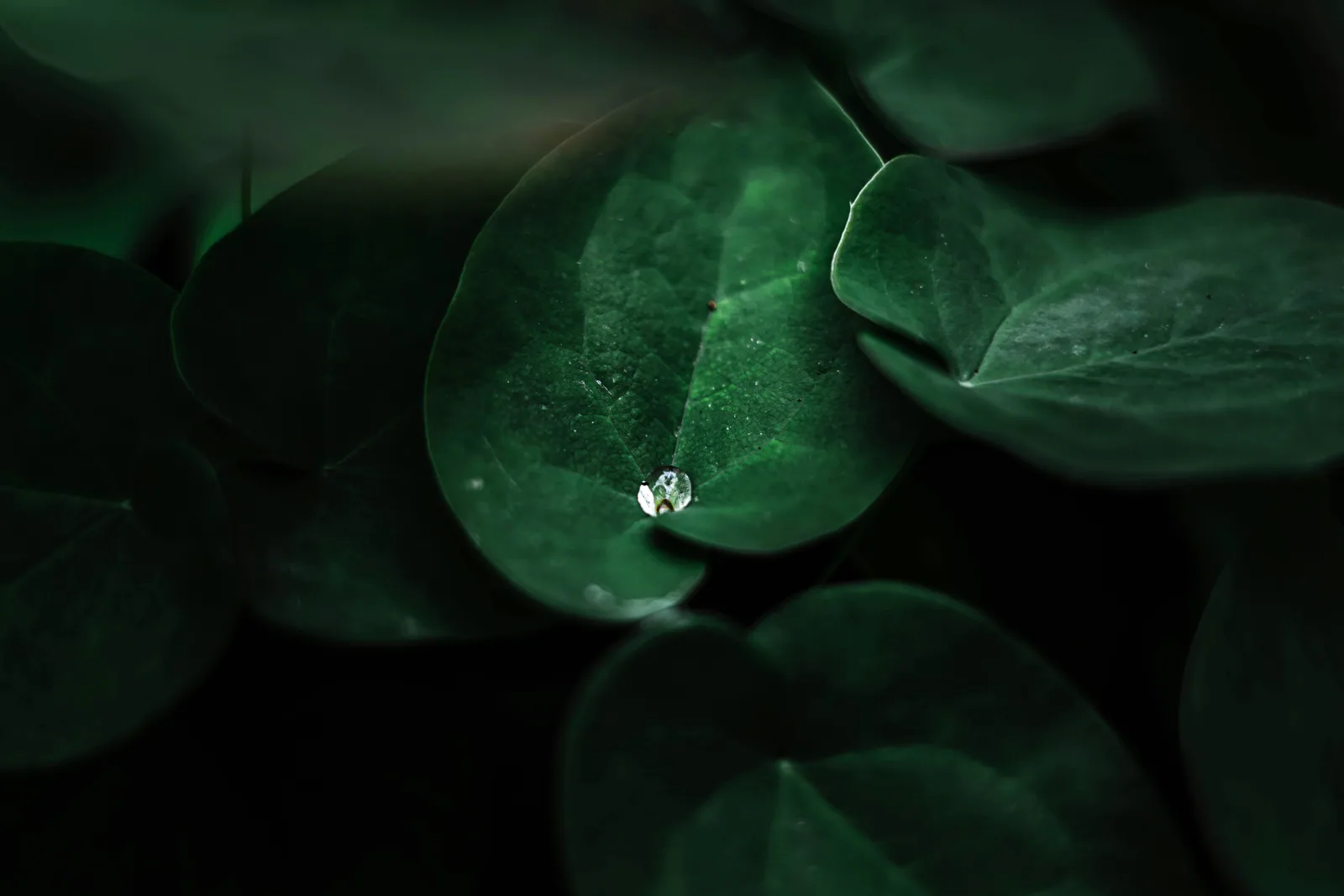 Renewable energy integration with solar panels and water systems for ESG impact